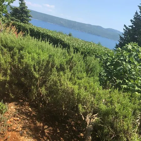 Σπίτι διακοπών Sea View