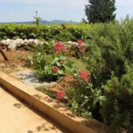 بيت للعطل Sea View