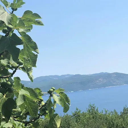 Ferienhaus Sea View *