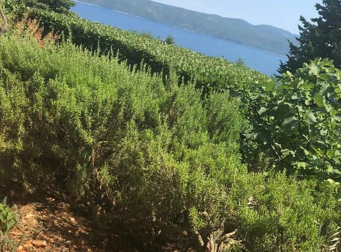 度假居 Sea View